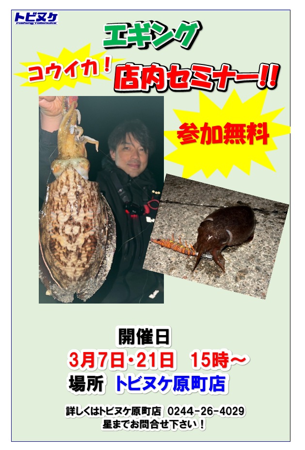 原町店「コウイカエギングセミナー」